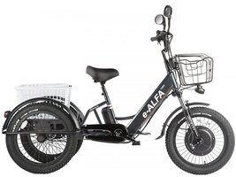 Электротрицикл GREEN CITY e-ALFA Trike Электротрицикл GREEN CITY e-ALFA Trike